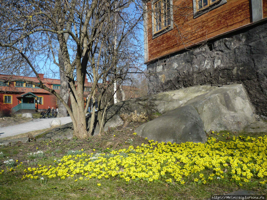 Воскресная прогулка по Скансену Стокгольм, Швеция