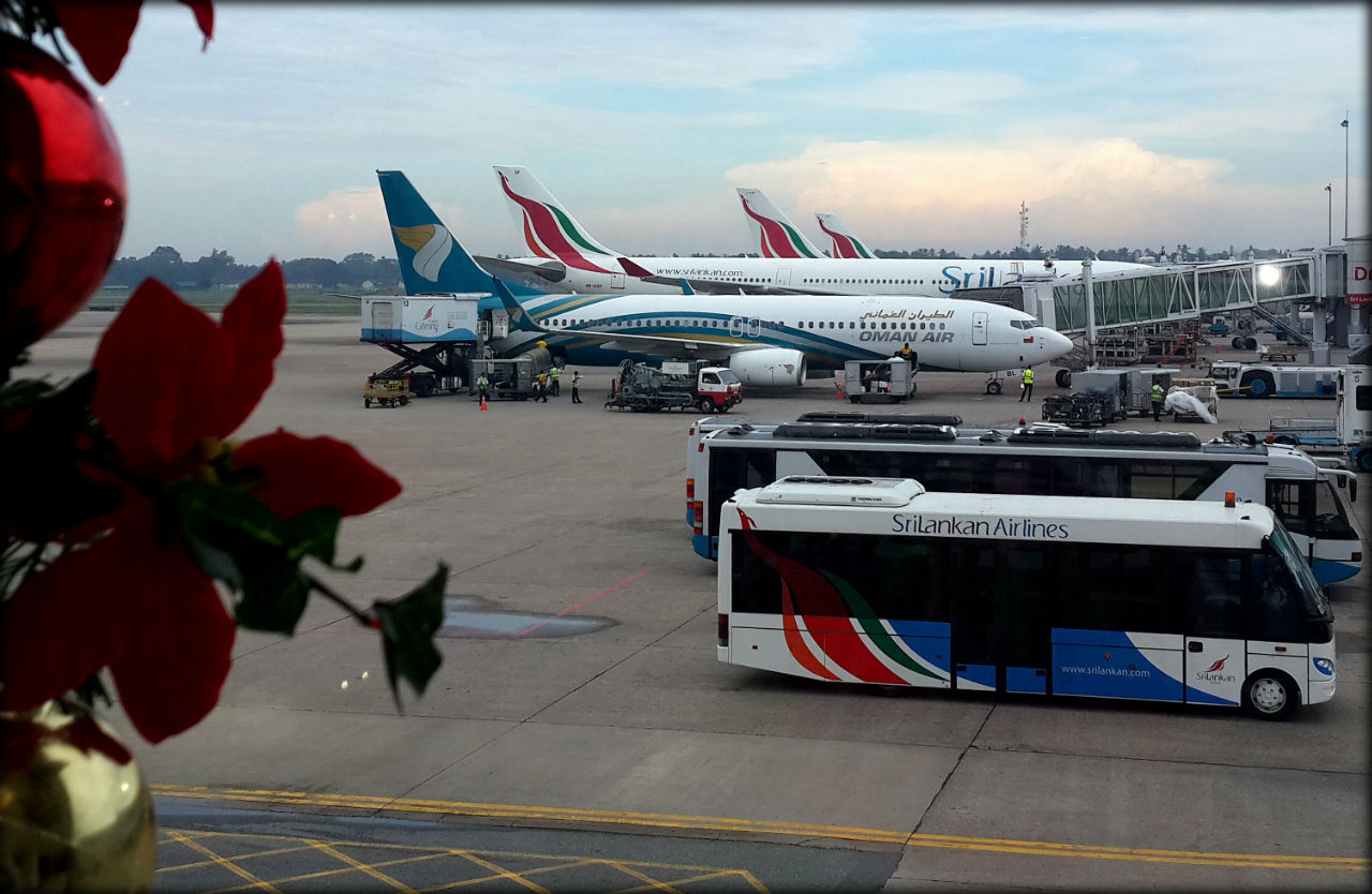 Крылья наших мечтаний