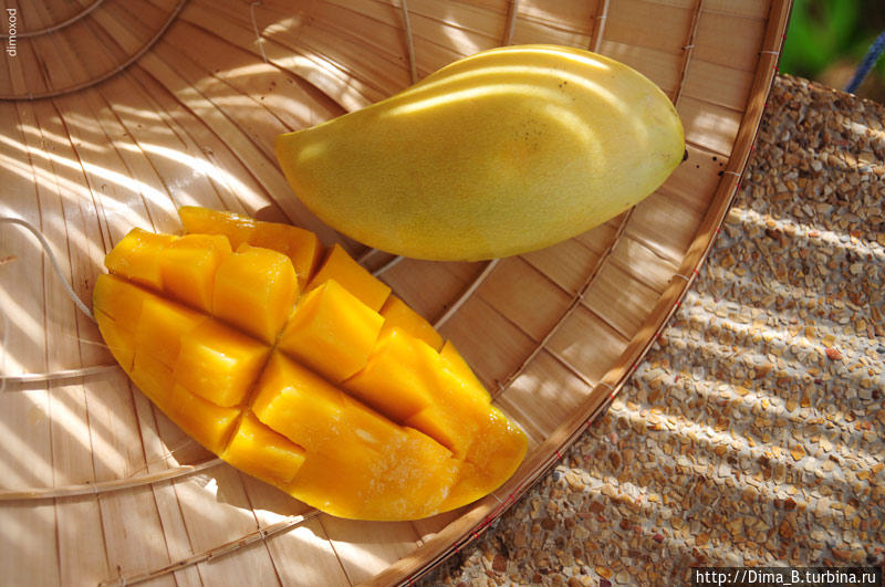 Манго  Даже если вы пробовали манго, сделайте это в Тайланде.  Сладкая нежная сочная мякоть, к косточке немного волокнистая. Слегка еловый вкус, едят без кожуры. Традиционное тайское блюдо, манго + рис сваренный в сладком кокосовом молоке.