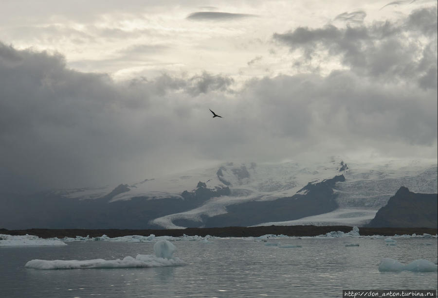 Лагуна льдов Йёкюльсаурлоун. Исландия Йёкюльсаурлоун ледниковая лагуна, Исландия