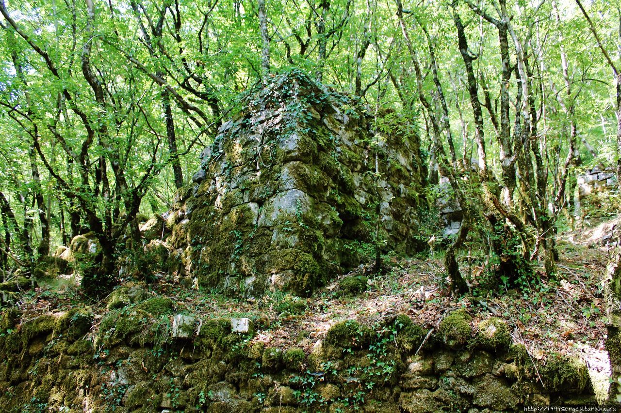 Моё покорение Врмац #4 / Тёмный лес Прчань, Черногория