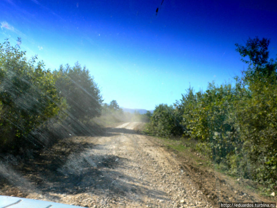 О друзьях — товарищах... Чеченская Республика, Россия