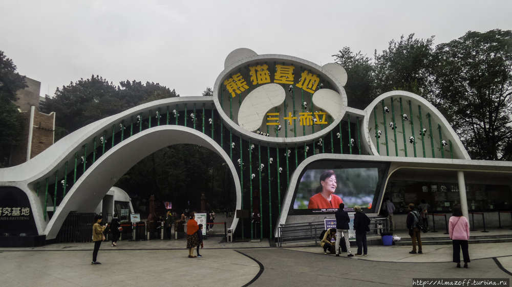 Центр изучения и разведения большой панды В Чэнду Чэнду, Китай