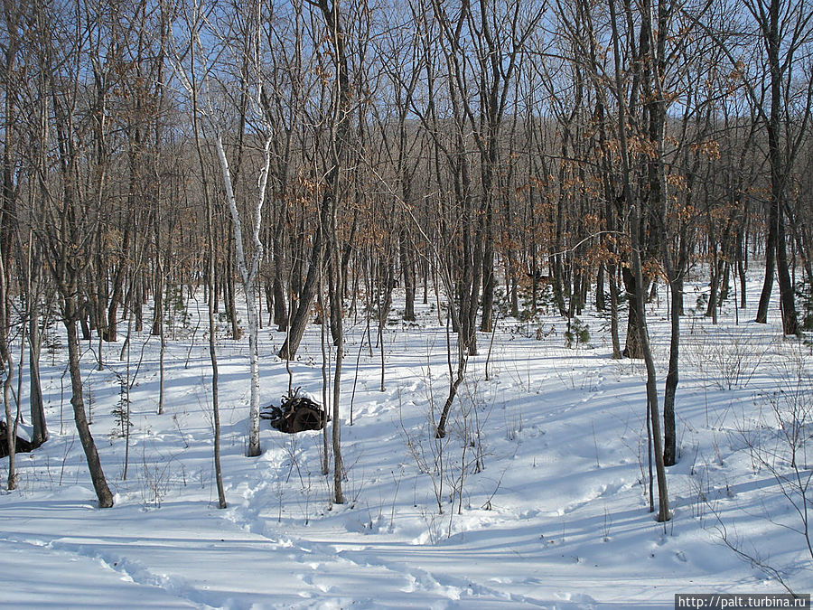 Пейзаж в парке Штыково, Россия