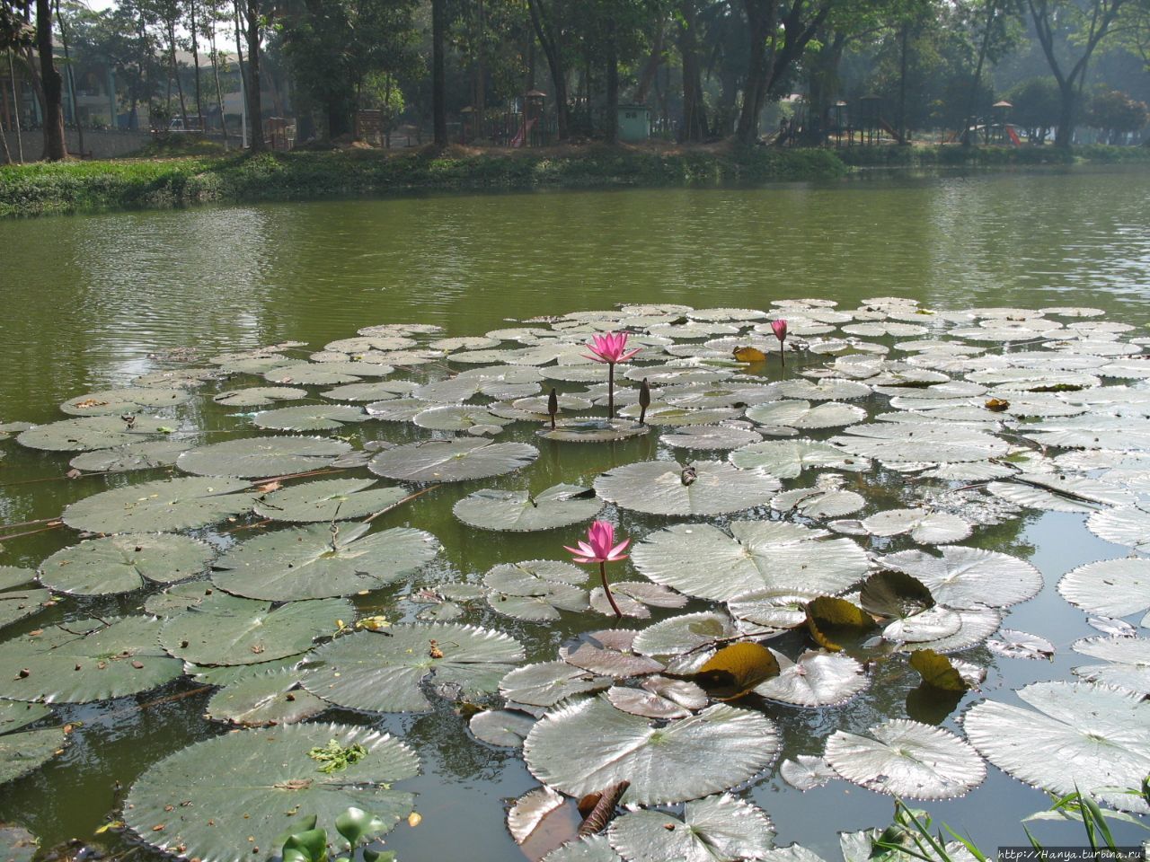 Озеро Kandawgyi Lake в Ян