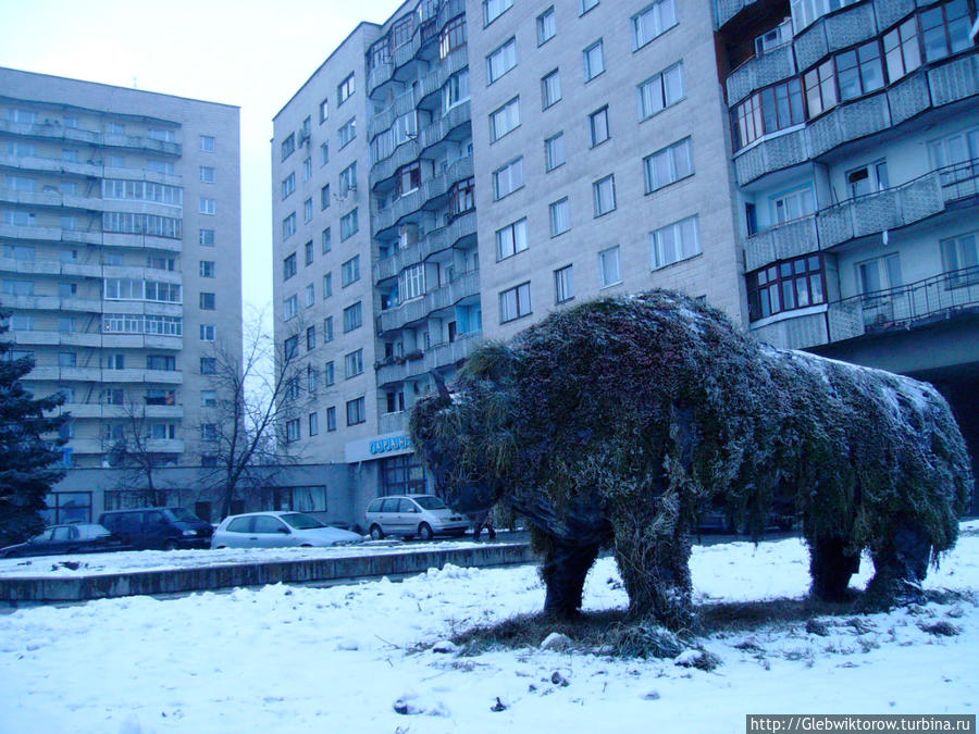 Зоопарк Гродно, Беларусь