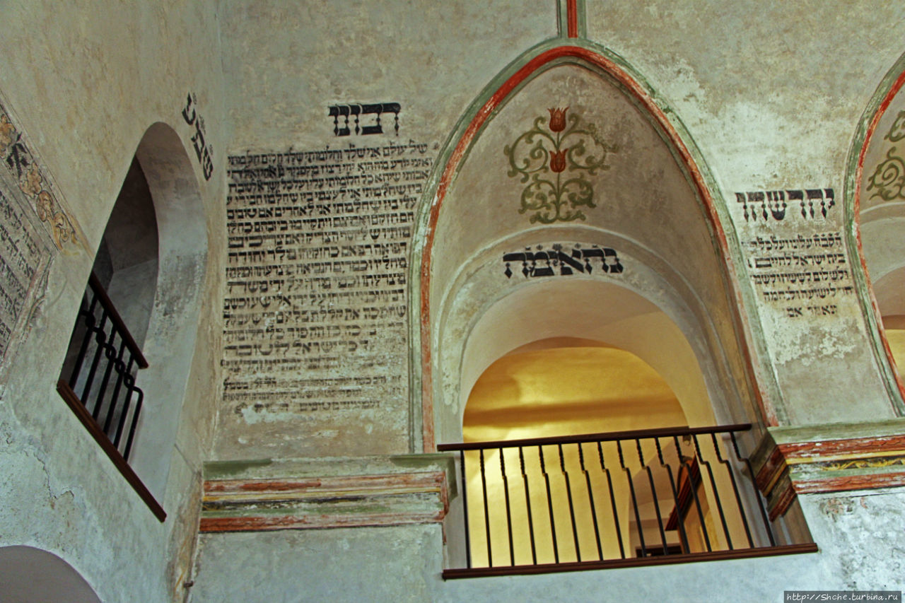 Задняя синагога Тршебич, Чехия