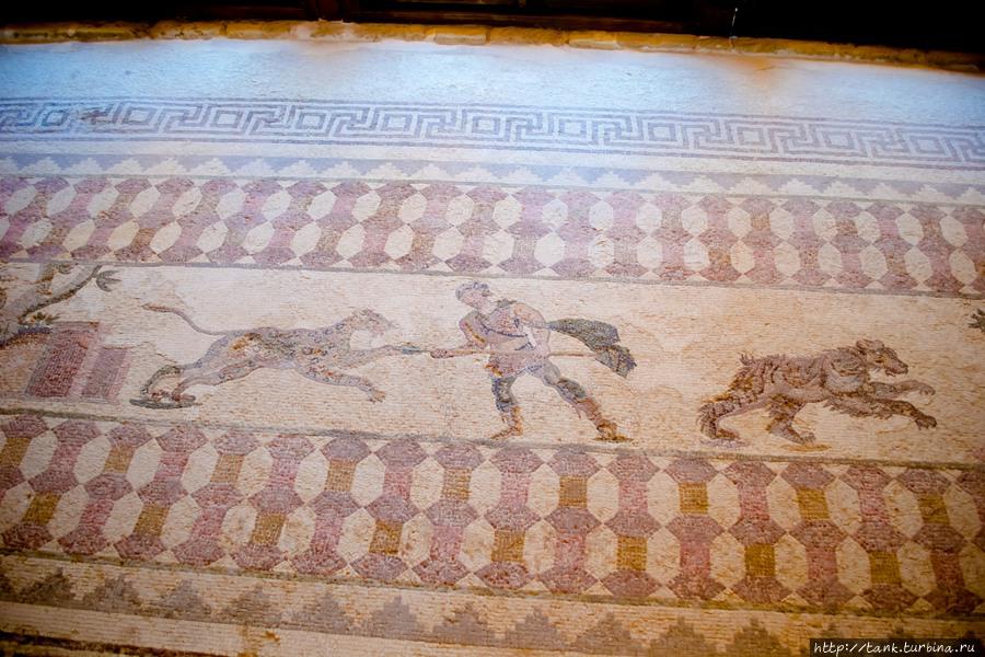 После осмотра мозаик на вилле Диониса, надо сказать, что от виллы сохранился лишь пол с мозаиками, а Диониса она потому, что именно он изображен на этих мозаиках, по аналогии еще есть виллы Айона и Тесея, отправились к Одеону. Пафос, Кипр