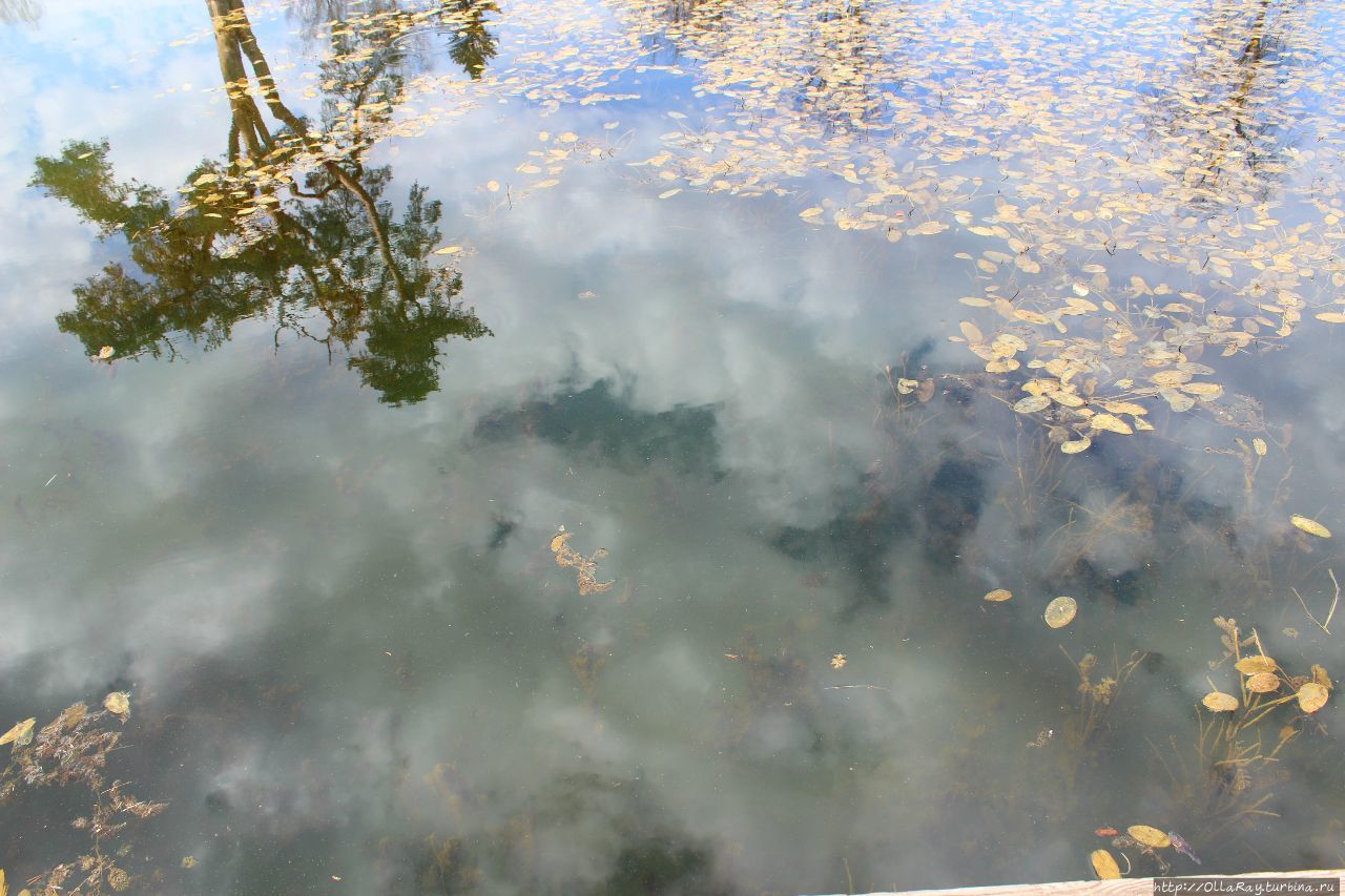 Отражение в майской воде. Знаменское-Раёк, Россия