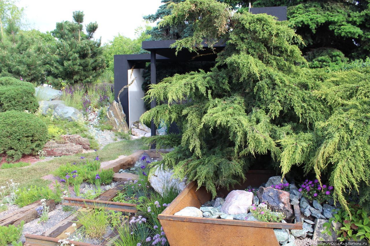 Moscow Flower Show 2017. Фотоотчёт и впечатления. Москва, Россия