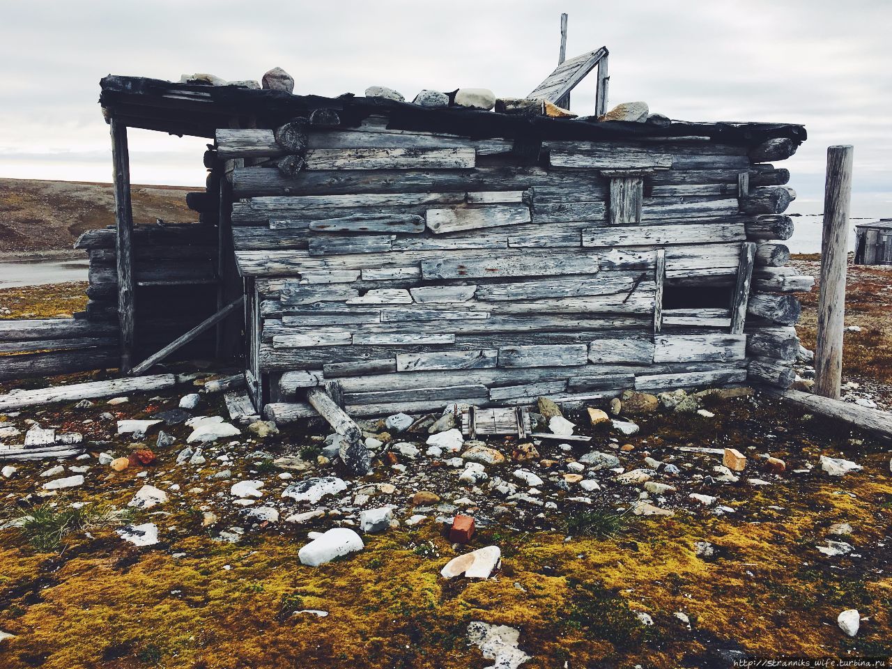 Холодный мир горячих сердец Шпицберген, Свальбард