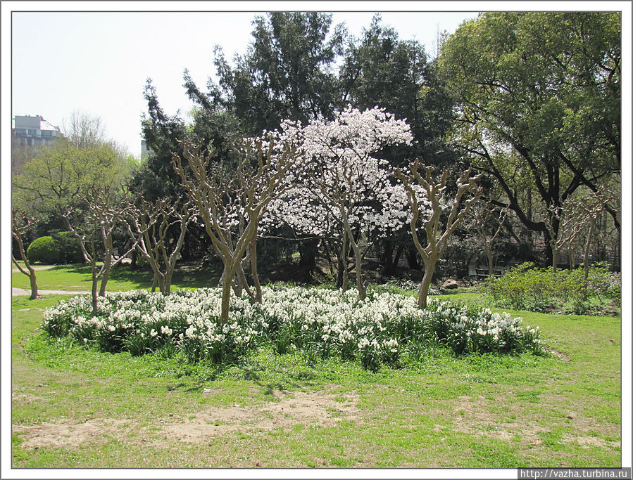 Зоопарк Шанхая. Продолжение. Шанхай, Китай