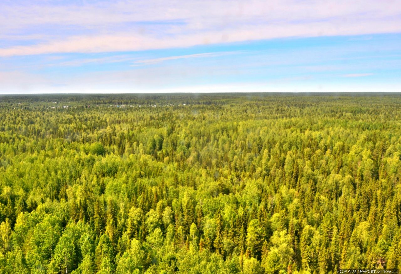 Печоро-Илычский Биосферный Заповедник / Pechora-Ilych Biosphere Reserve. Virgin Komi Fores