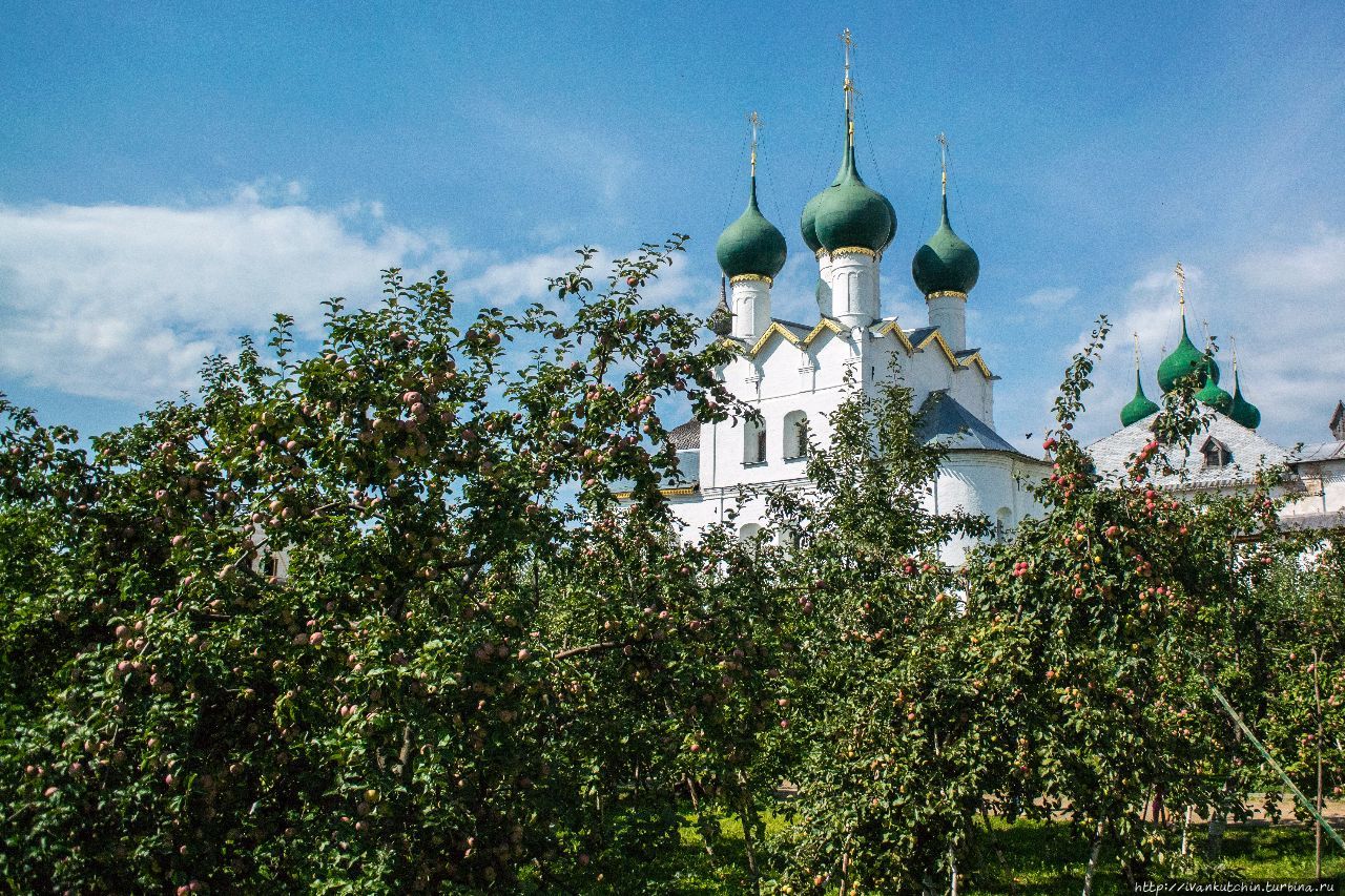 Летом в Ростове Ростов, Россия