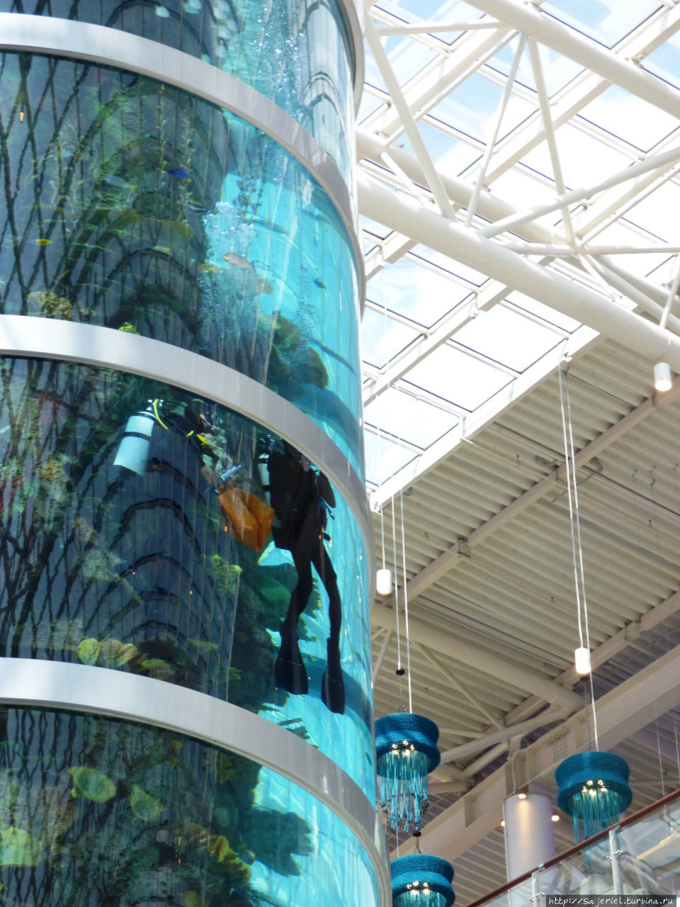 Самый высокий цилиндрический аквариум в мире Москва, Россия
