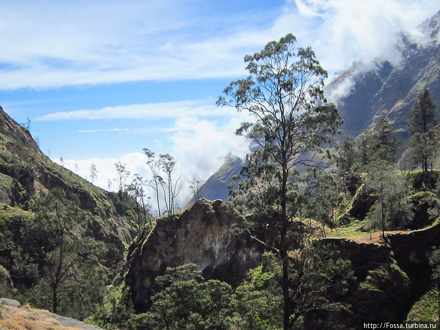 Тоже у горячих источников Остров Ломбок, Индонезия