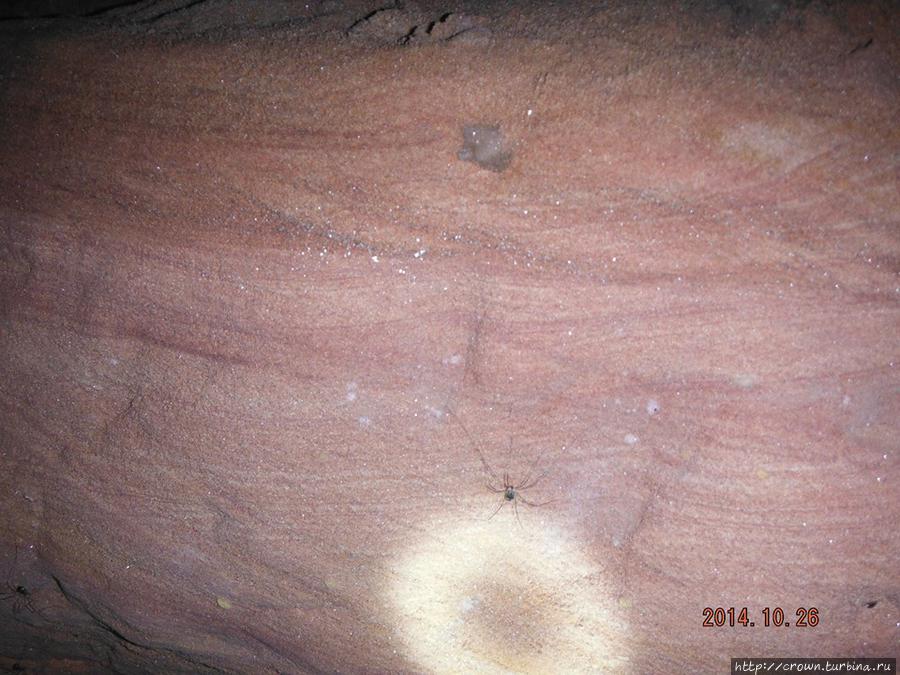 Пещера в Рождествено. Рождествено, Россия