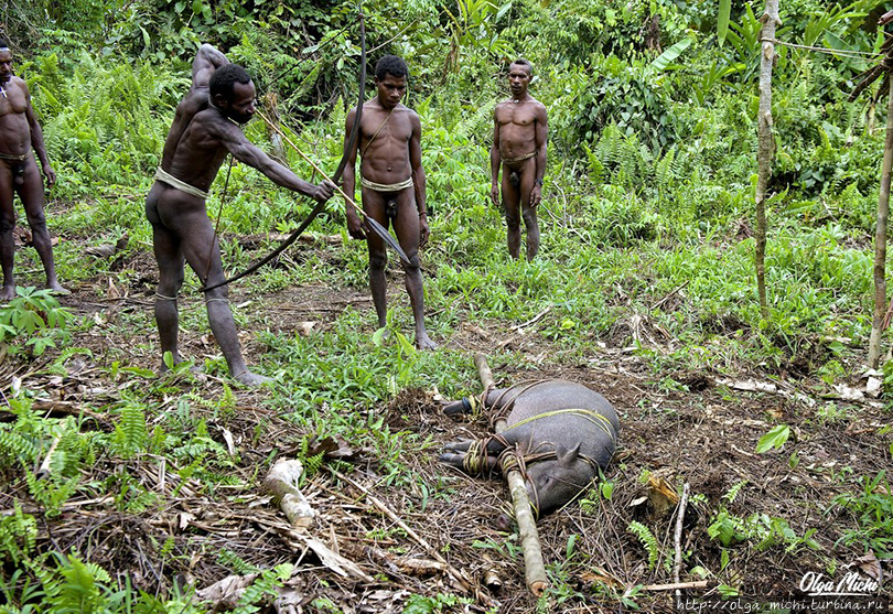 Про Шангри-Ла, Новую Гвинею и смысл жизни. Часть 5 Папуа, Индонезия