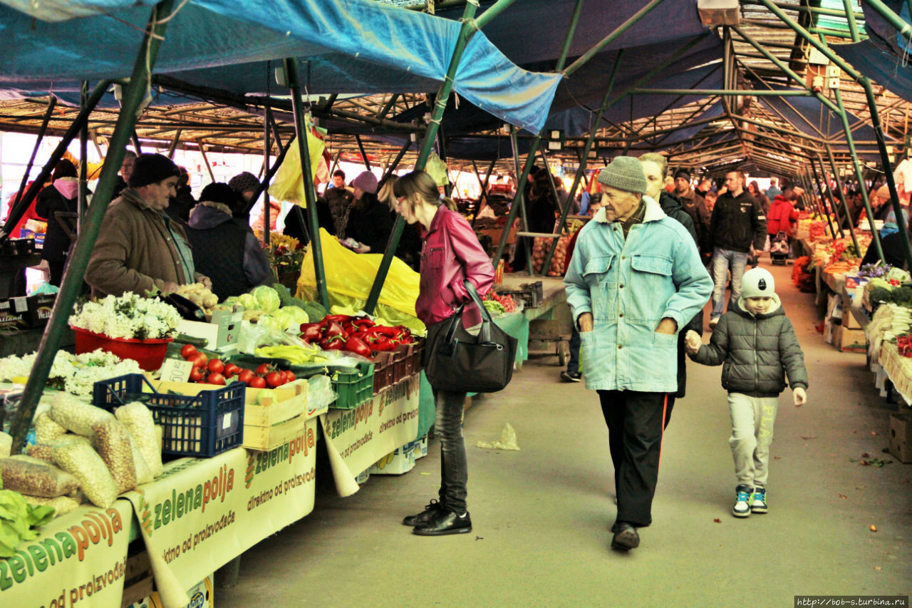 Суботица. Город велосипедистов Суботица, Сербия