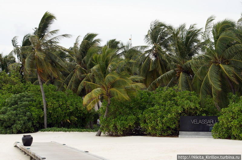 Каникулы на Мальдивах, часть 4 Мальдивские острова