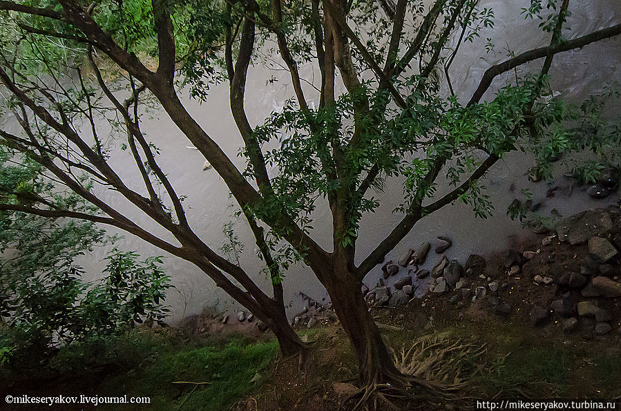 Вулкан Поас Поасито, Коста-Рика