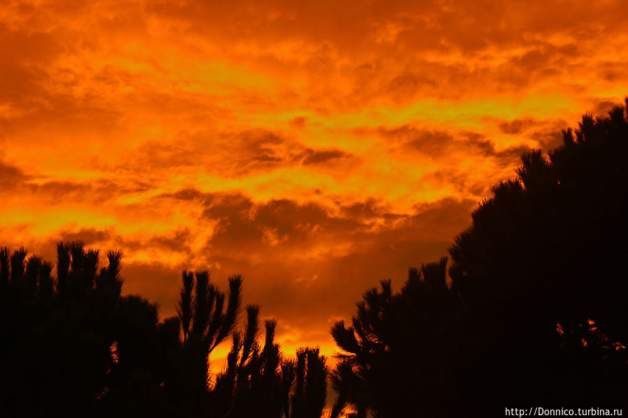 Этюд в багряных тонах Плайя-д-Аро, Испания