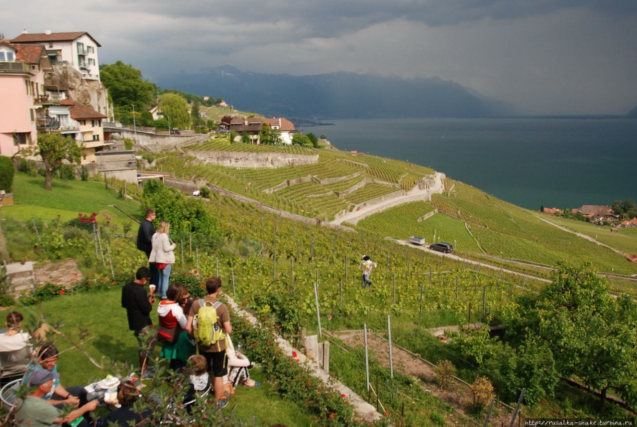 Винорама Лаво Шексбр, Швейцария