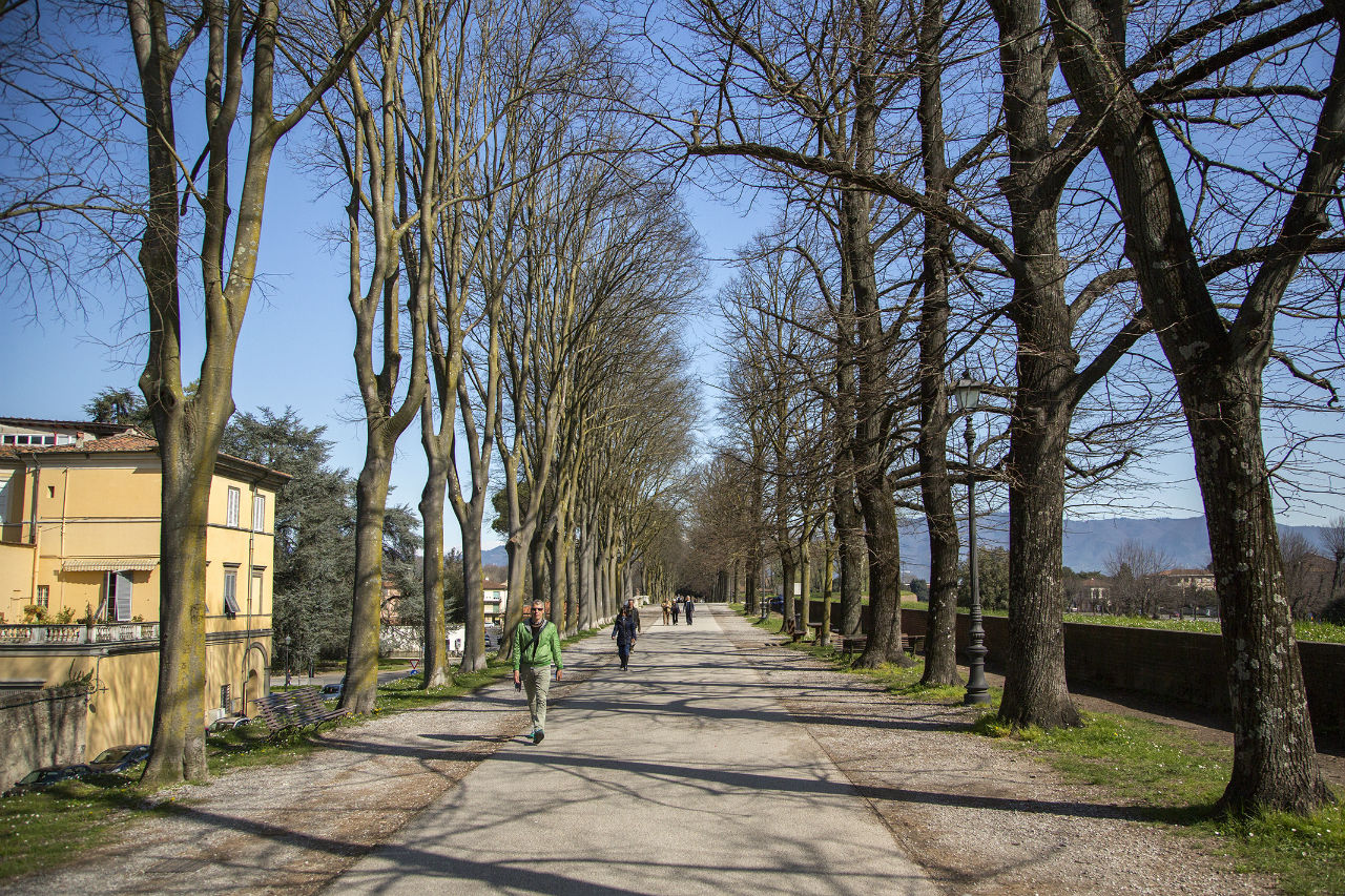 Лукка Лукка, Италия