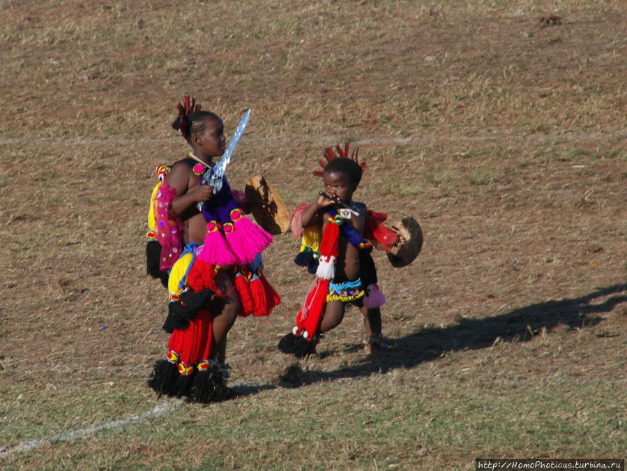 Умхланга. День VII. Танец перед королем Лобамба, Свазиленд