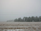 Карельские зимы нестабильные — то снега навалит, а то никак не покроется.