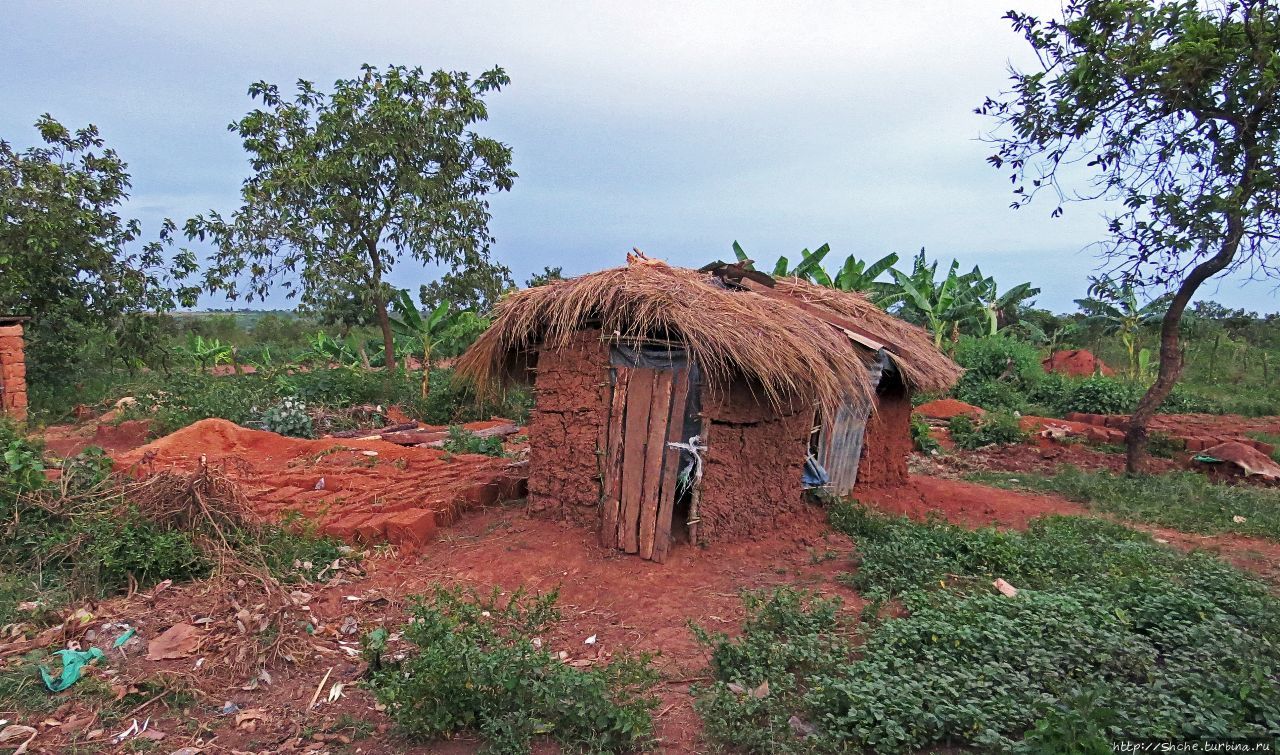 Деревня  Rwamahungu. Так живет 70% населения Уганды
