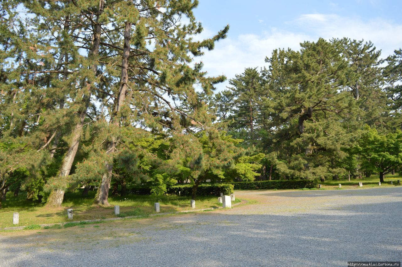 Национальный сад Гёэн Киото, Япония