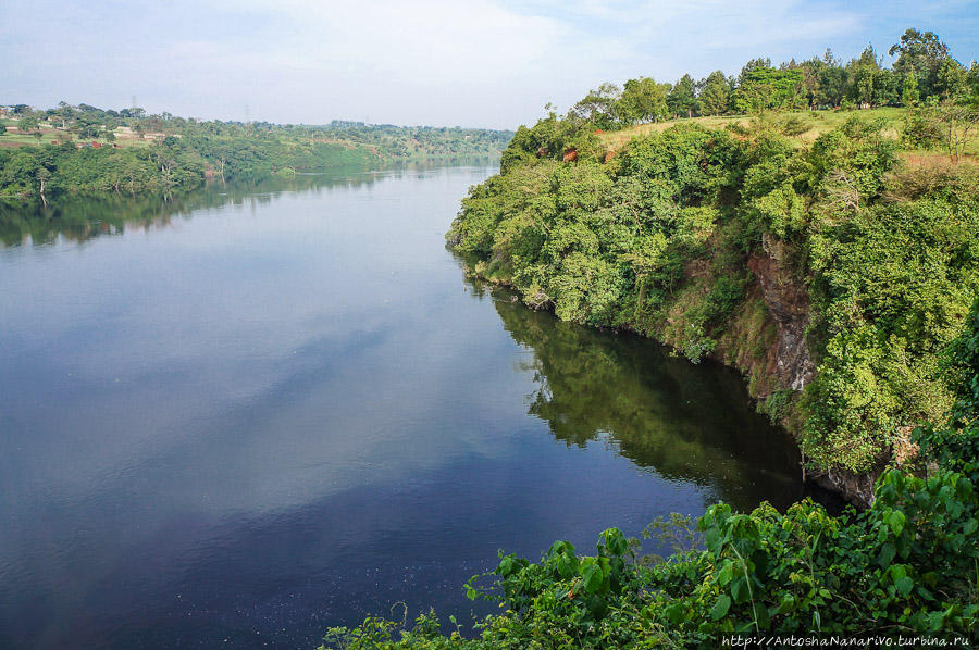 А теперь спустимся немного по течению Нила вниз от Виктории Джинджа, Уганда