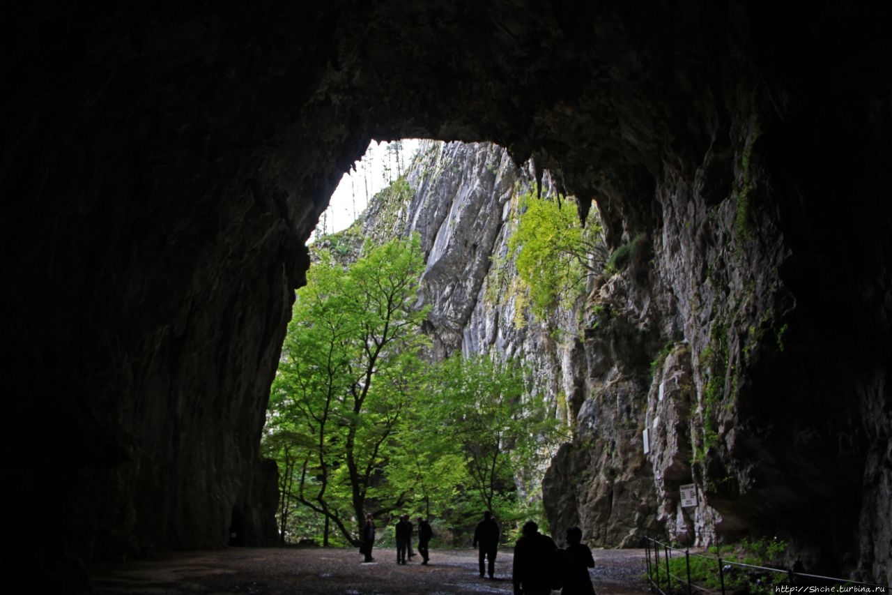 Шкоцянские пещеры / Škocjanske jame