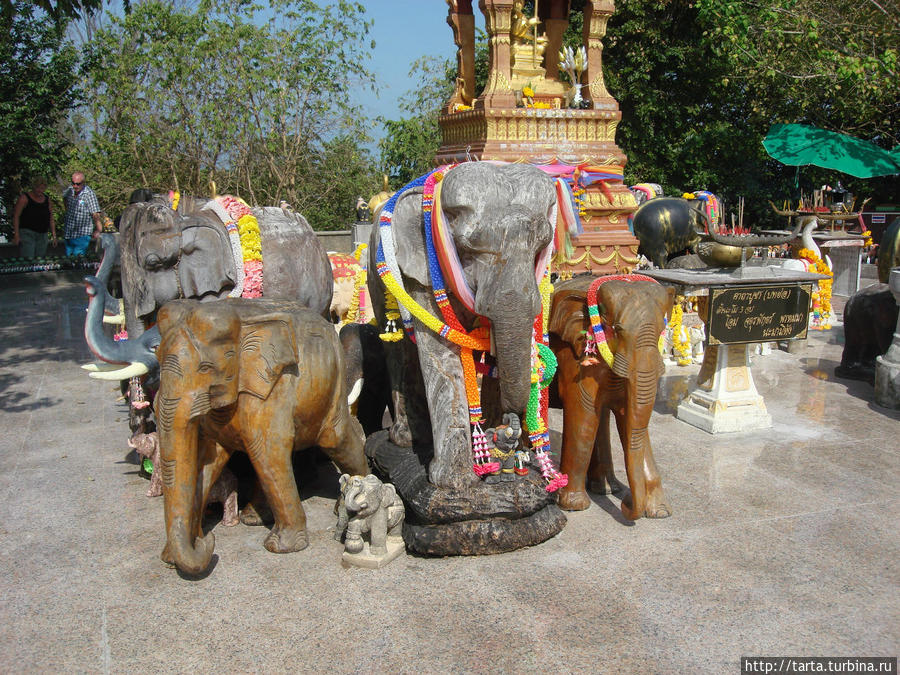 Слоны и слоники Пхукет, Таиланд