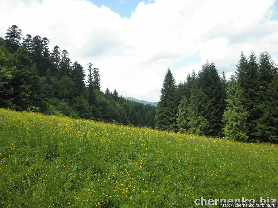 Поход на гору Лопата (Карпаты) Сколе, Украина