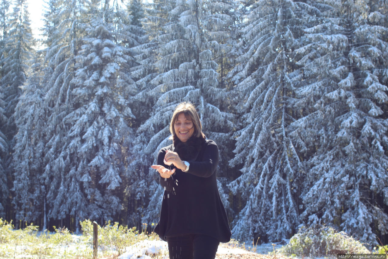 А в Румынии снег!