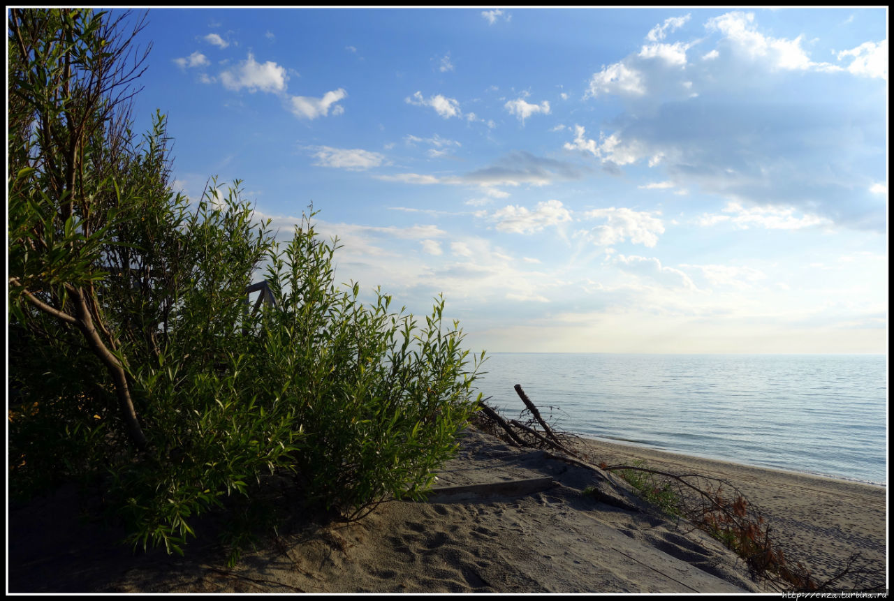 Пляжи Куршской косы Куршская Коса Национальный Парк, Россия