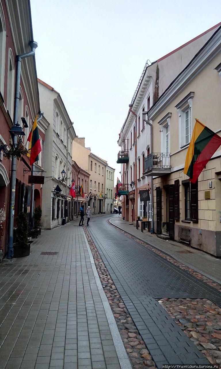 Старый город Вильнюса. Обилие флагов по случаю празднования 100-летия независимости. Вильнюс, Литва
