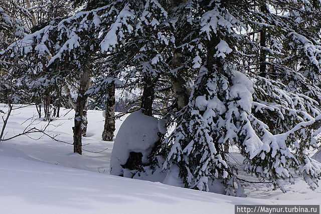 Чья — то  избушка  Южно-Сахалинск, Россия