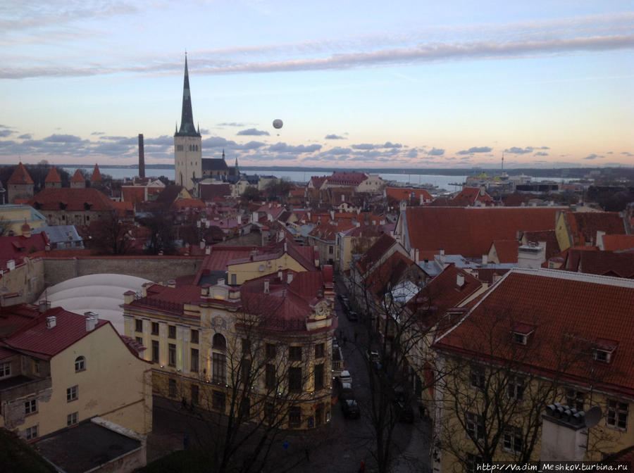 Вид на исторический центр Таллина Таллин, Эстония