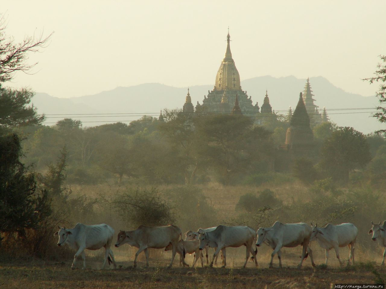 Дорогами старого Багана Баган, Мьянма