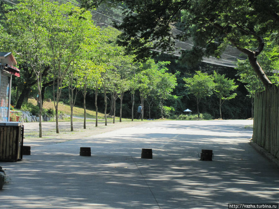 Зоопарк Сеула. Вторая часть. Сеул, Республика Корея