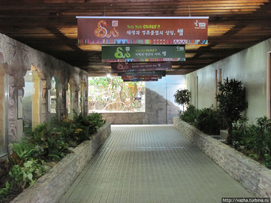 Зоопарк Сеула. Четвёртая часть. Сеул, Республика Корея