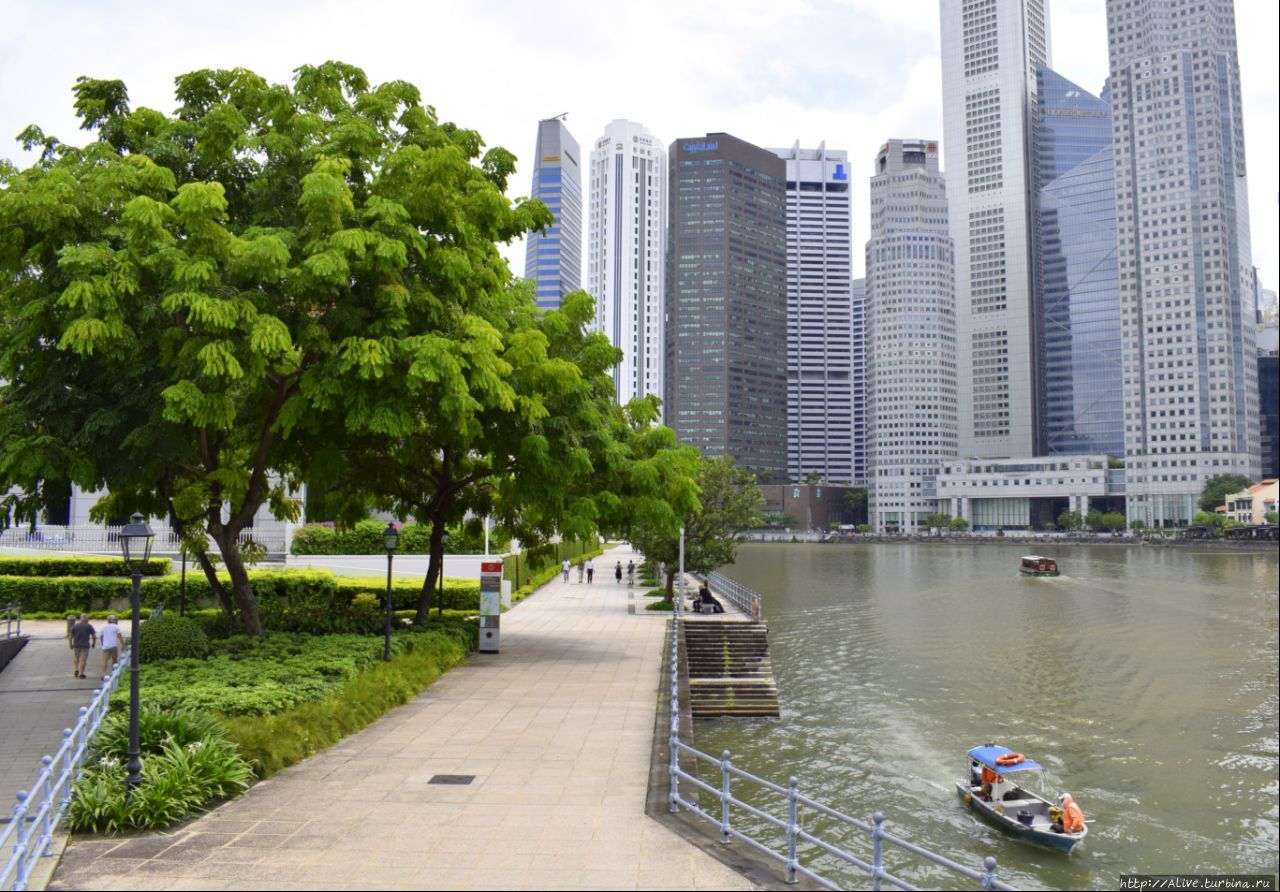 Сингапур – наше зелёное будущее Сингапур (столица), Сингапур (город-государство)