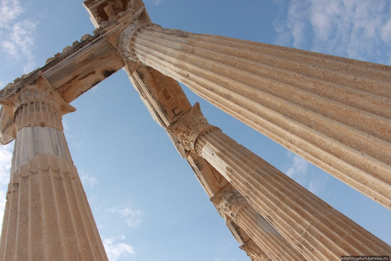 Маковый цвет турецкого берега Сиде, Турция