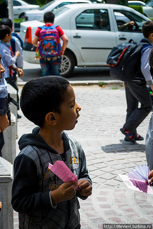 Сад Эрам (Bagh-e Eram, райский сад) Шираз, Иран