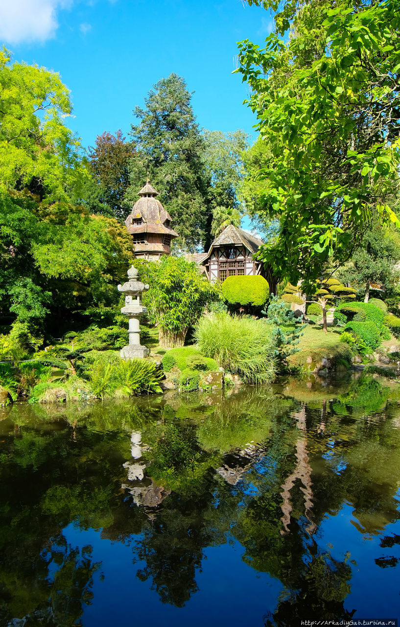 Японский сад в сетях луарской неги Молеврие, Франция