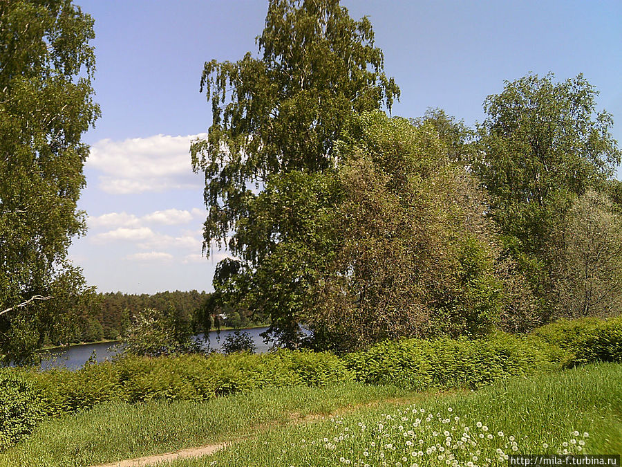 Прогулка в лето. Пригороды Петербурга. Рощино Рощино, Россия