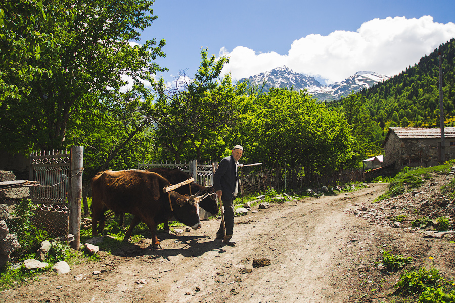 Навстречу вышел такой дедушка:)